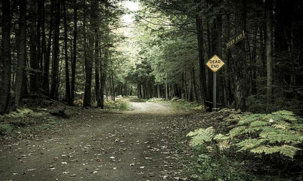 Hutan Holloway: Sebuah Kesalahpahaman Besar